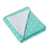 Dubbelzijdig Deken voor Autostoel Mint