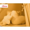 MEGA TIPI SET: Tipi-tent + speelmat + kussens + GRATIS decoratieve veren Honing Mosterd