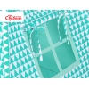 MEGA TIPI SET: Tipi-tent + speelmat + kussens + GRATIS decoratieve veren Mint