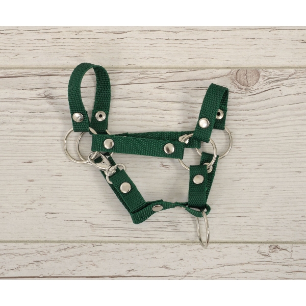 Halster voor Stokpaardje Hobby Horse  A4