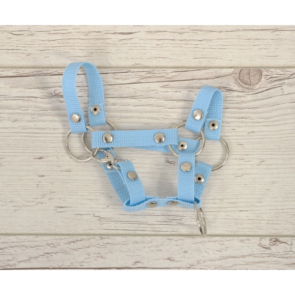 Halster voor Stokpaardje Hobby Horse Blauw  A4