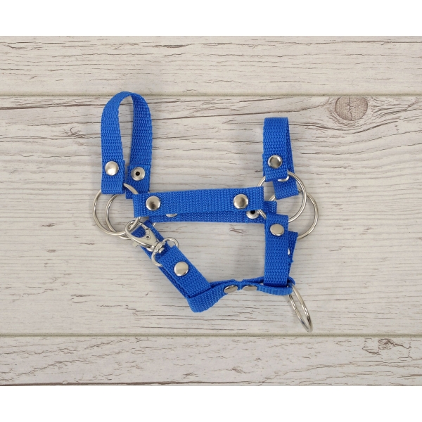 Halster voor Stokpaardje Hobby Horse Blauw  A4