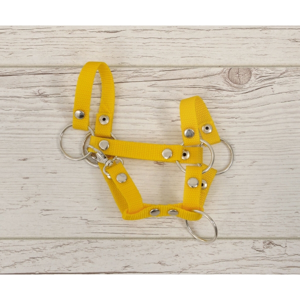 Halster voor Stokpaardje Hobby Horse Geel  A4