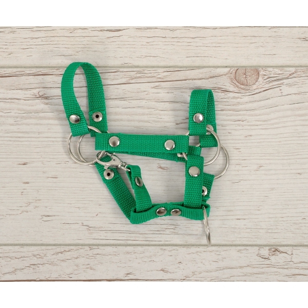 Halster voor Stokpaardje Hobby Horse Groen  A4