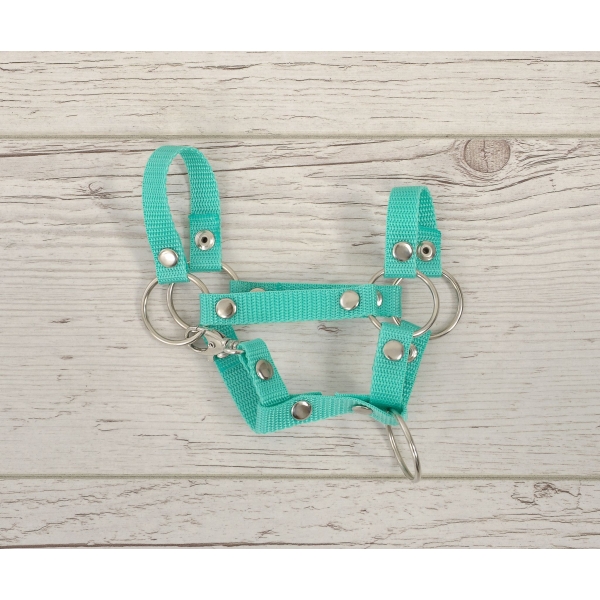Halster voor Stokpaardje Hobby Horse Munt  A4