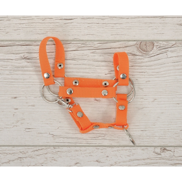 Halster voor Stokpaardje Hobby Horse Oranje  A4