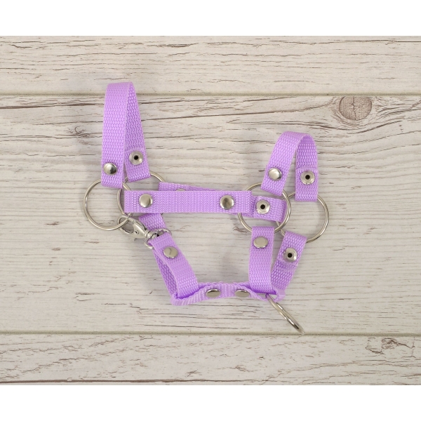Halster voor Stokpaardje Hobby Horse Purper  A4