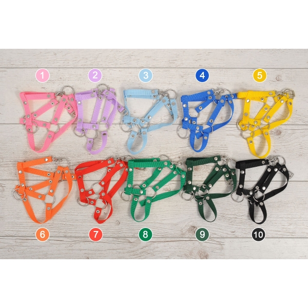 Halster voor Stokpaardje Hobby Horse Rood