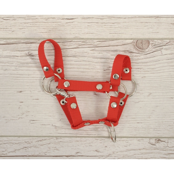 Halster voor Stokpaardje Hobby Horse Rood A4