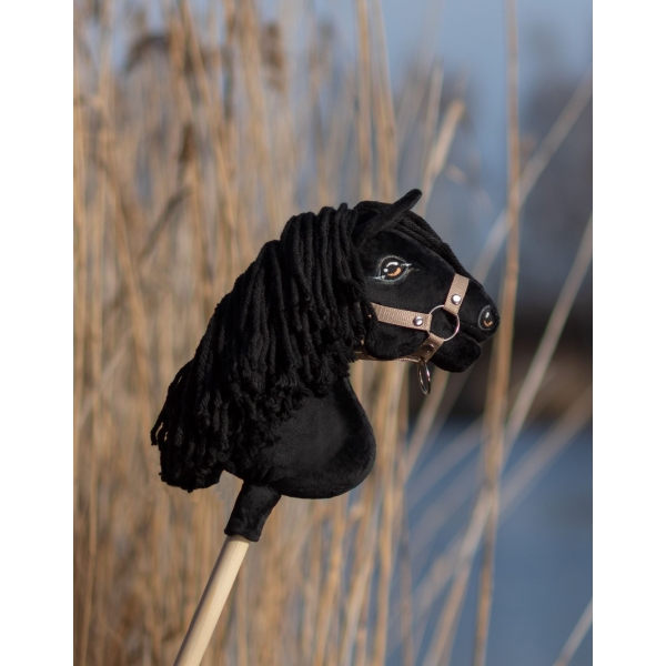Stokpaard Hobby Paard Zwart A4