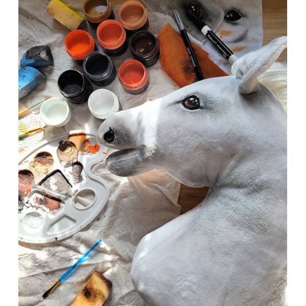 Stokpaard Wit Hobby Horse